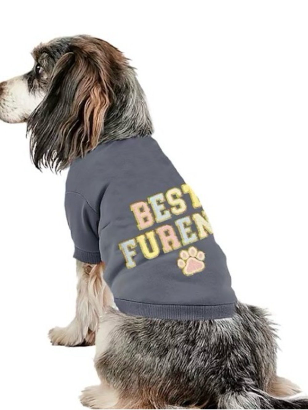 Buttercup Dogs That Rock Best Furend size large